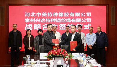 河北衡水市政企代表團蒞臨興達考察，興達&中美達成戰(zhàn)略合作！
